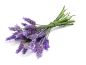 Preview: Lavendel - Lavender - Kerzenduftöl