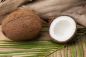 Preview: Kokosnuss - Coconut - Kerzenduftöl
