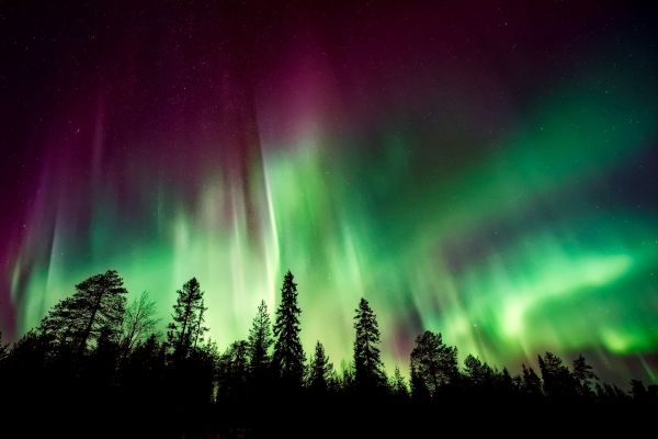 Nordlichter - Northern Lights - Kerzenduftöl - Duftöl
