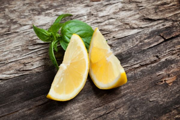 Zitrone & Basilikum - Lemon & Basil - Kerzenduftöl