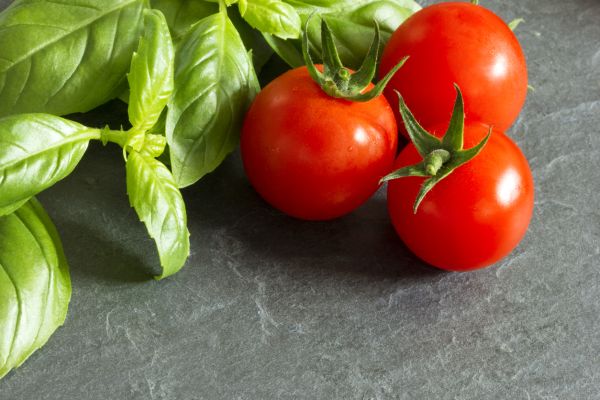 Tomaten und Basilikum -  Tomato and Basil - Kerzenduftöl