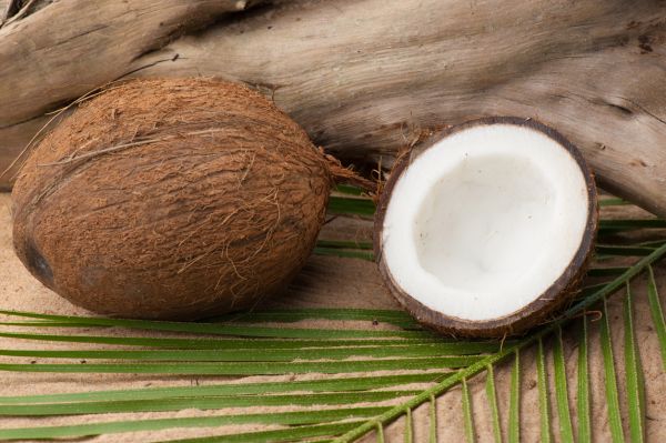 Kokosnuss -  Coconut - Kerzenduftöl - 20% GÜNSTIGER