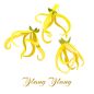 Preview: Ylang Ylang - Candle Fragrance Oil