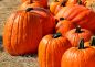 Preview: Pumpkin Picking - Candle Fragrance Oil