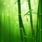 Preview: Grüner Tee und Bambus - Green Tea and Bamboo - Kerzenduftöl - Duftöl