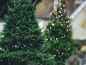 Preview: Christmas Tree Shopping - Candle Fragrance Oil