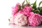Preview: Peony - Candle Fragrance Oil