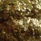Preview: Bio Glitter Gold 20ml Tube