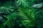 Preview: Dschungelflora - Jungle Flora - Kerzenduftöl - Duftöl