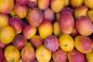Preview: Mango - Kerzenduftöl - Duftöl
