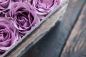 Preview: Lila Brombeerrose - Purple Blackberry Rose - Kerzenduftöl - Duftöl