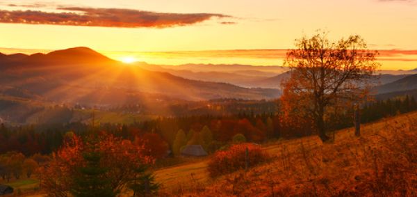 Herbstlicher Sonnenaufgang - Autumn Sunrise - Kerzenduftöl