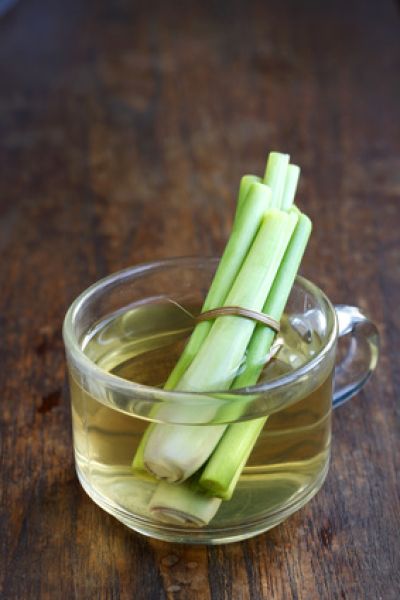 Grüner Tee und Zitronengras - Green Tea and Lemongrass - Kerzenduftöl