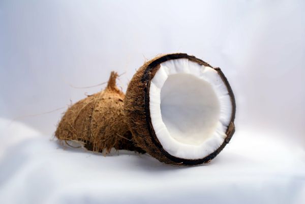 Coconut Cotton Type - Kerzenduftöl