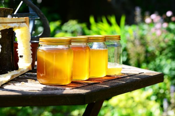 Goldener Honig - Golden Honey - Kerzenduftöl