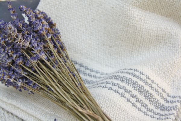 Lavendel Leinen - Lavender Linen - Kerzenduftöl