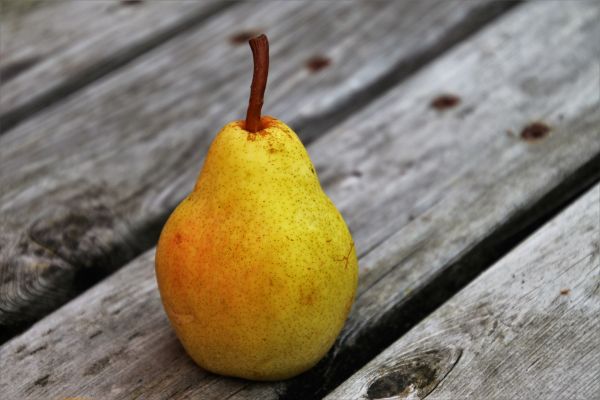 English Pear & Freesia Type - Kerzenduftöl