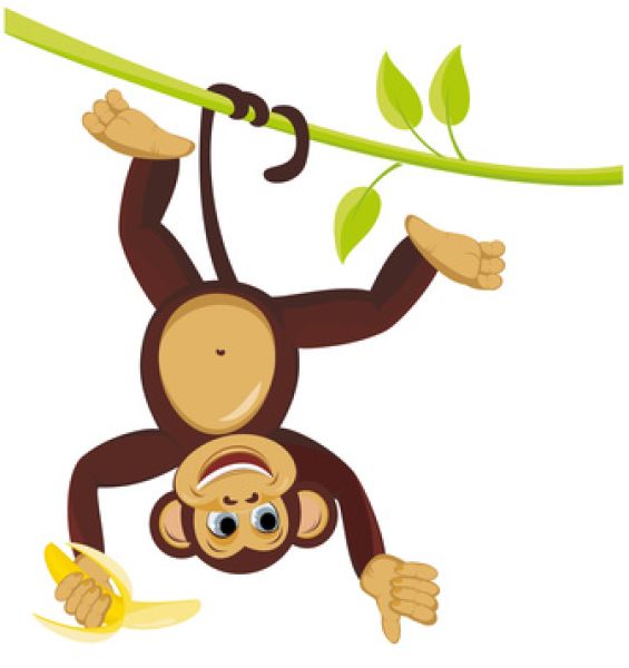 Monkey Farts - Aroma Diffuser Fragrance Oil