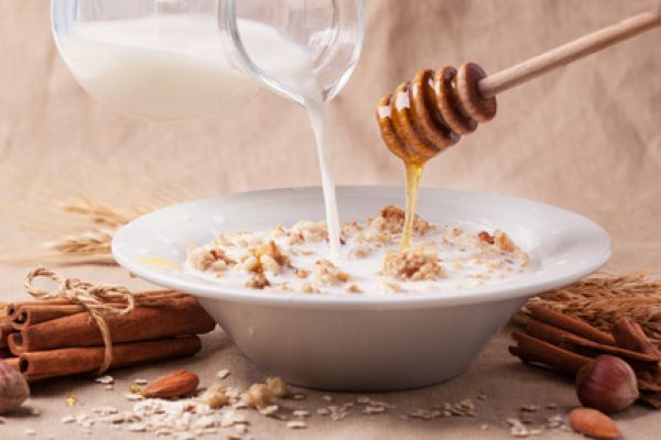 Haferflockenmilch & Honig - Oatmeal Milk & Honey - Kerzenduftöl