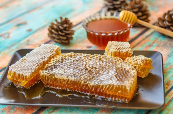Tannenzapfen und Honig - Pine Cones and Honey - Kerzenduftöl - Duftöl