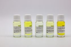 Set Kürbis 5x10ml