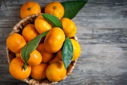 Mindful Mandarin - Candle Fragrance Oil - Focus