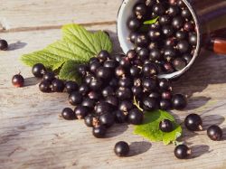 Rosenholz Johannisbeere - Rosewood Currant - Kerzenduftöl - Duftöl